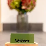 Waldnest Lägenhet Kitzbühel