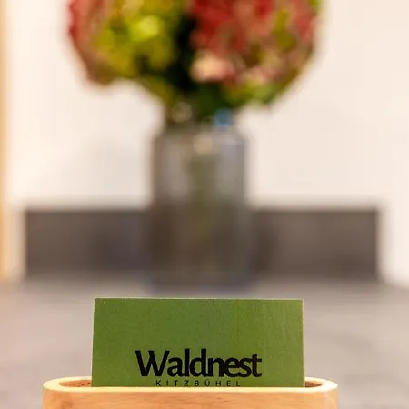Waldnest Daire Kitzbühel