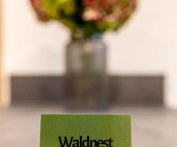 Waldnest Appartamento Kitzbühel