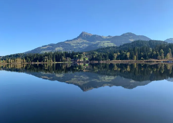 Waldnest * Kitzbühel