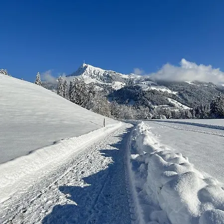 Waldnest Appartement Kitzbühel