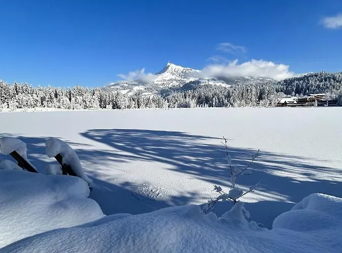 Waldnest Appartement Kitzbühel