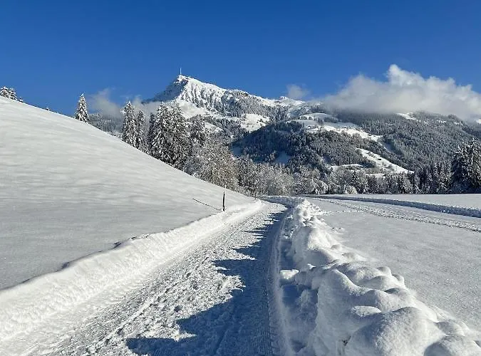 Waldnest Appartement Kitzbühel